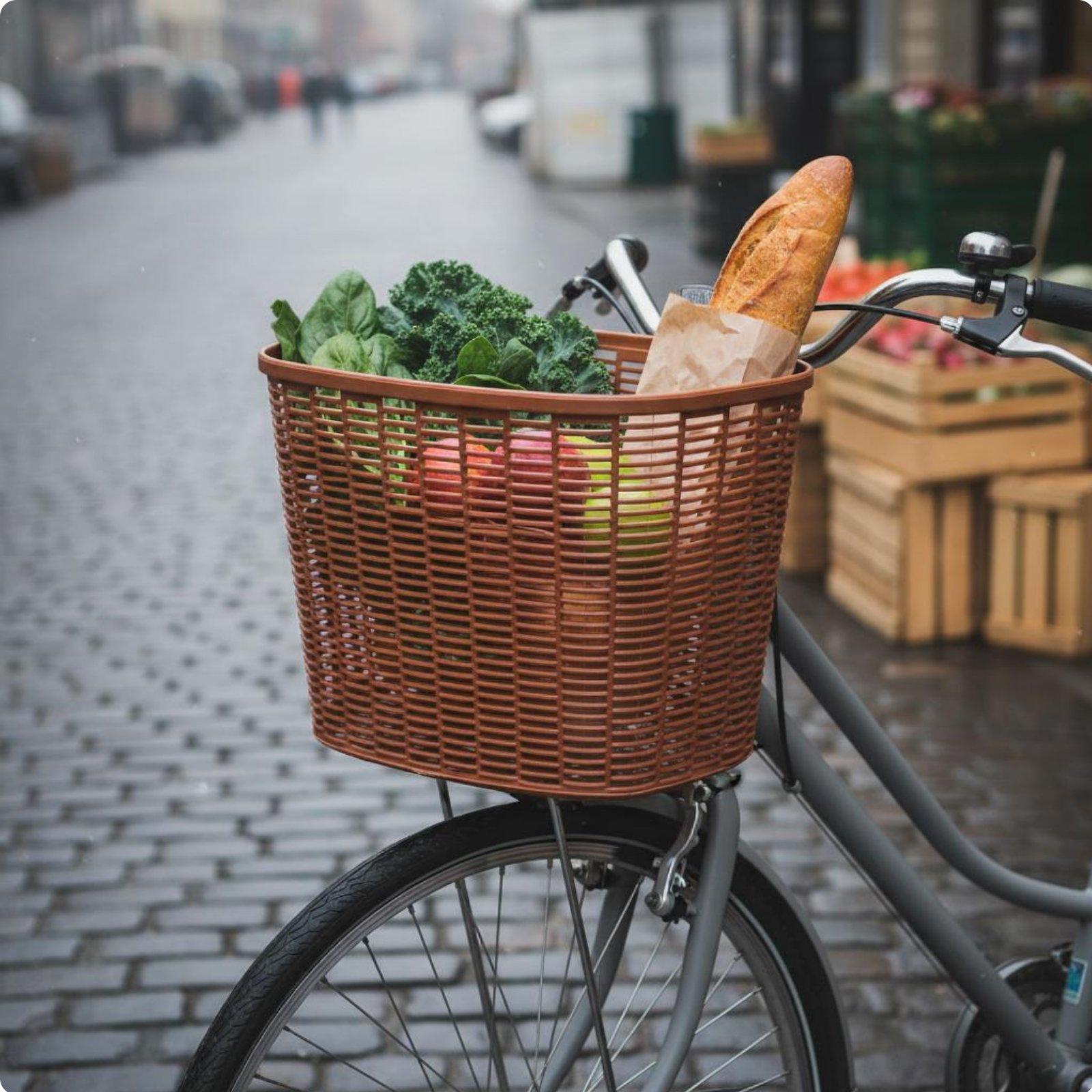Spacious Cycle Basket Front Ha - Cycling Commute Essentials 评论和价格